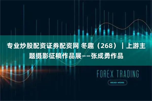 专业炒股配资证券配资网 冬趣（268）｜上游主题摄影征稿作品展——张成勇作品