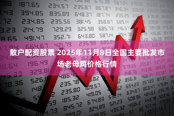 散户配资股票 2025年11月8日全国主要批发市场老母鸡价格行情